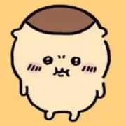 正規品】Ado ファッショナブル「よだか」」トラックジャケット 小（M