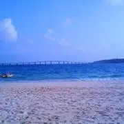 しなり