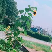 ayktの画像