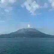 うめかの画像