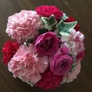 あおい