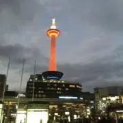 ビートルベースの画像