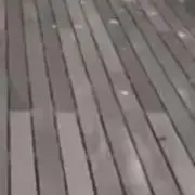 Pの画像