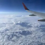 サイトウの画像