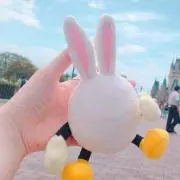 ぴぴの画像