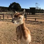 ☆ニコ☆フォロー&リピーター割引きの画像