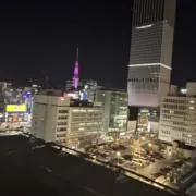 ヤーさんの画像