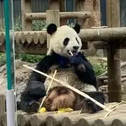 エリックの画像