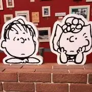 ★★★⚠️即購入OKの画像