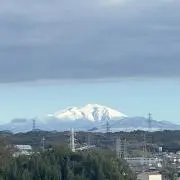 まーしーの画像