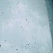 たいと