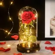 ☆ROSE☆  (プロフ必読！！)