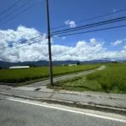 ゆたた