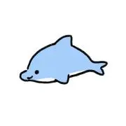 いるかの画像