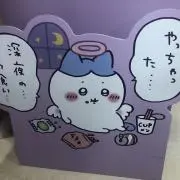 Hakuの画像