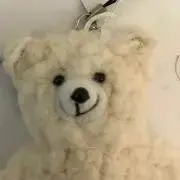 くまの画像