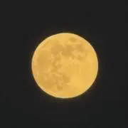 夢の画像
