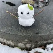 tatukiくんの画像