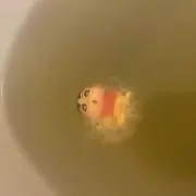 エリザベスの画像