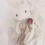 momo ♡8/29〜8/30発送×の画像