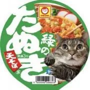 緑のたぬき