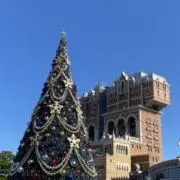 haruの画像