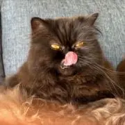 あーきーの画像