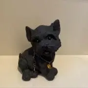 Peaceの画像