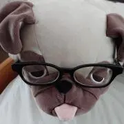 ちょろの画像