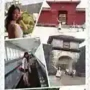 Ma@次回発送 未定