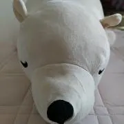 ガガの画像