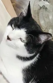 ころん