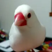 lee.okaku