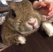 ナイスひさの画像