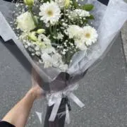 くるみの画像