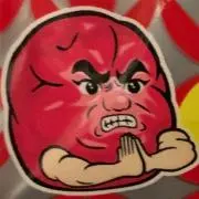 ハヤシの画像