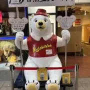 とらちゃんの画像