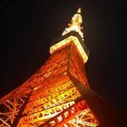 ゆかり(*^_^*)の画像