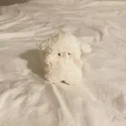 まむの画像