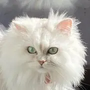 みんみん33