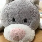 ガラパゴス