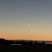 結子の画像