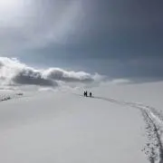 LaSKの画像