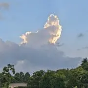 nt