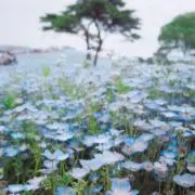 moの画像