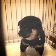 Litoの画像