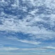 すのぴく