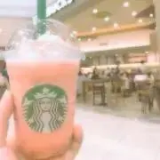 蓮