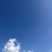 sappの画像