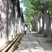 ごーやの画像